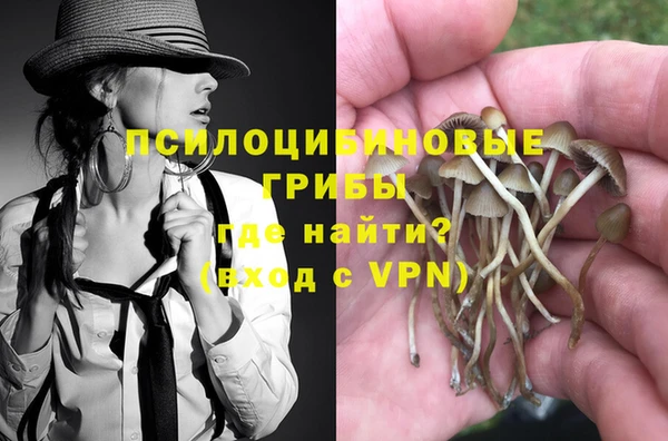 МДПВ Армянск