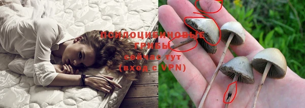 винт Арсеньев