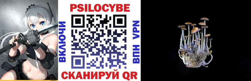 Псилоцибиновые грибы Psilocybe  дарнет шоп  Суздаль 